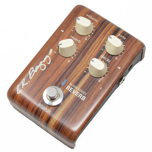 LR Baggs Reverb (second hand)