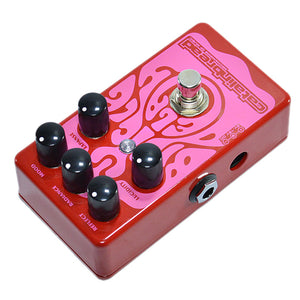 Catalinbread Bicycle Delay