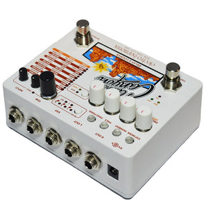 Electro-Harmonix Grand Canyon Delay and Looper