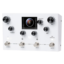 Lataa kuva Galleria-katseluun, Meris LVX Modular Delay System
