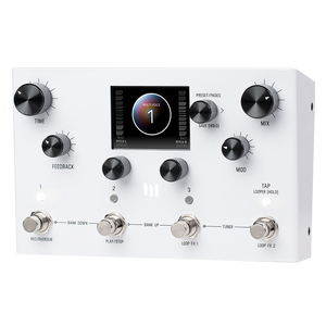 Meris LVX Modular Delay System